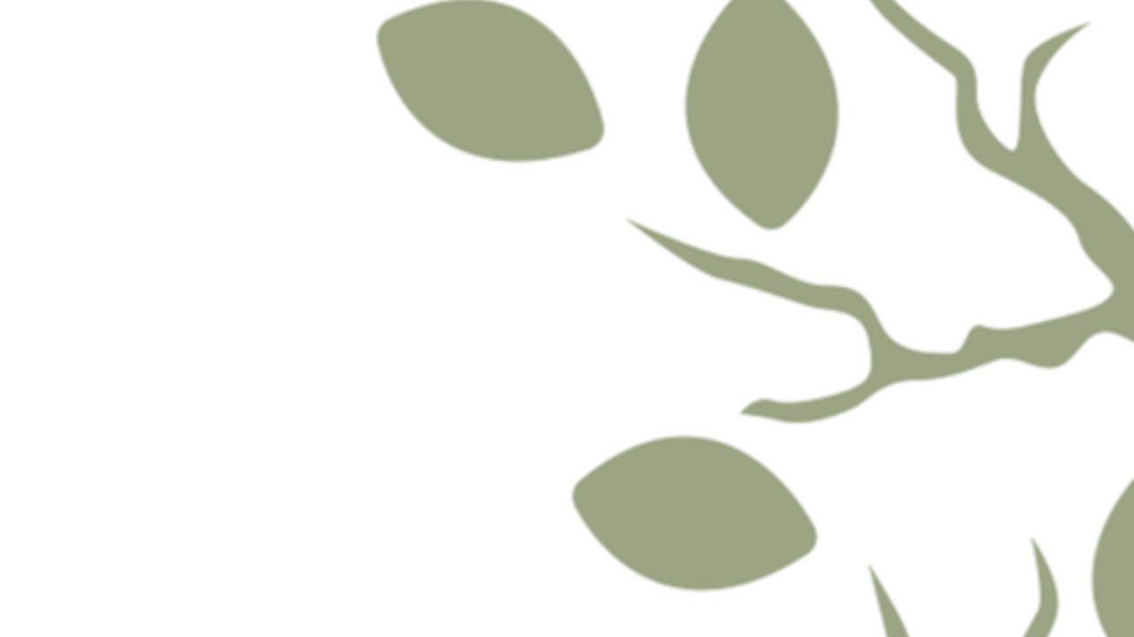 Veracity Tree logo left side